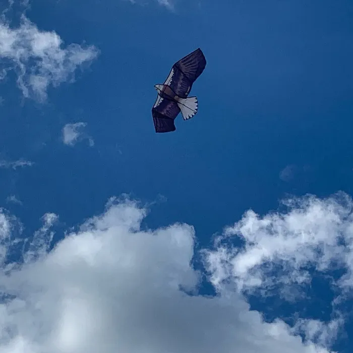 "Лети, лети воздушный змей"