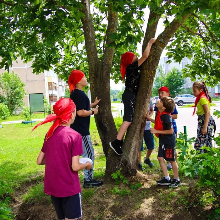 В поисках сокровищ