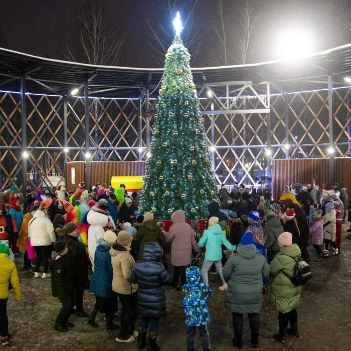 Торжественная церемония зажжения огней на главной елке в парке "200 лет Егорьевску"