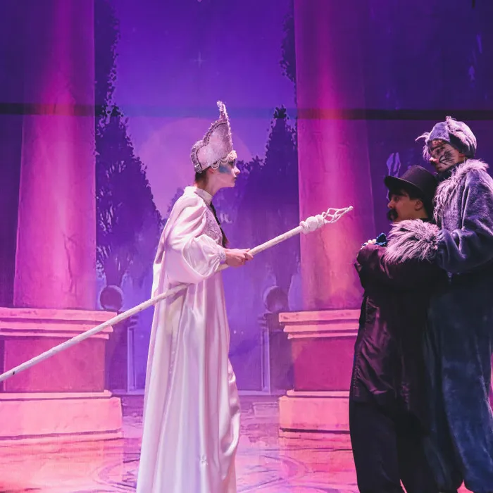 "Новогодний озорник"