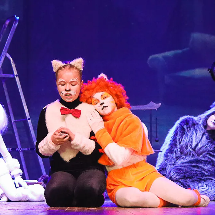 «Брысь! Или истории одного подвала»