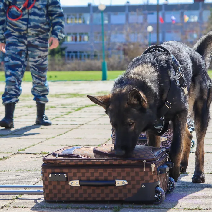 "Терроризм. Об угрозе нельзя забывать"